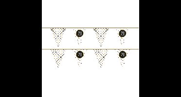 Haza Vlaggenlijn - 2x - 21 jaar - verjaardag versiering - leeftijd - vlaggetjes slinger - 6 meter