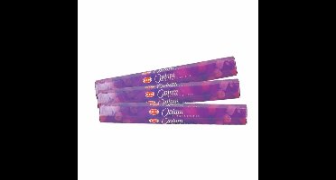 HEM Wierook Opium- 60x wierookstokjes - geurstokjes - Oosters