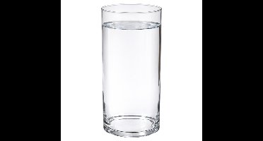 Home & Styling Bloemenvaas - Cilinder vorm - transparant - glas - 19 x 60 cm - rechte cilinder