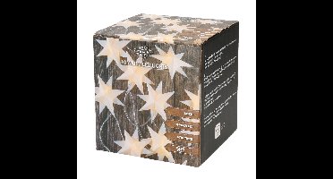 Kerstverlichting - lichtsnoer - 10x witte sterren - op batterijen - 135 cm - kerstverlichting