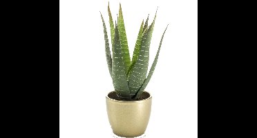 Kunstplant Aloe Vera - groen - in gouden pot - 23 cm