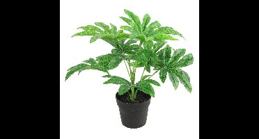 Kunstplant Fatsia in bloempot - Groen - 15 x 32 cm