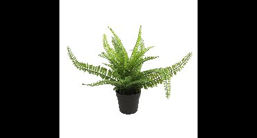 Kunstplant Varen Monilophyta in bloempot - Groen - 25 x 36 cm