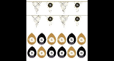 Leeftijd verjaardag 16 jaar geworden feestpakket vlaggetjes/ballonnen