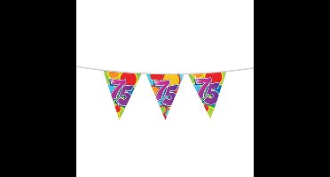 Leeftijd verjaardag thema vlaggetjes 75 jaar plastic 10 meter