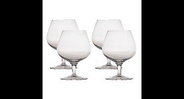 Michelangelo Master luxe cognacglazen - transparant - 8x stuks - 395 ml