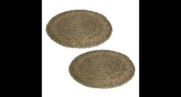 Pannenonderzetter - Set van 2x stuks - zeegras - rond - Dia 36 cm - naturel - extra groot - stevig