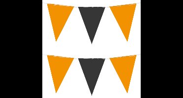 Party Vlaggenlijn - 2x - oranje/zwart - 10 m - 15 vlaggetjes - binnen/buiten - kunststof