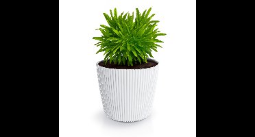 Plantenpot/bloempot Buckingham - buiten/binnen - kunststof - ivoor wit - D14 x H13 cm