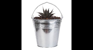 Plantenpot/bloempot emmer voor buiten - zink - zilver - D29 x H25 cm