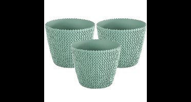 Plantenpot/bloempot Splofy - Set van 3x stuks - mint groen - kunststof - D13 x H11 cm - binnen/buite