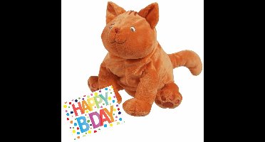 Pluche knuffel Dikkie Dik kat/poes 43 cm met A5-size Happy Birthday wenskaart