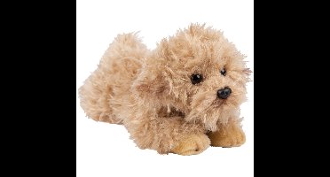 Pluche knuffeldier - Labradoodle hond - 30 cm - honden huisdieren knuffel