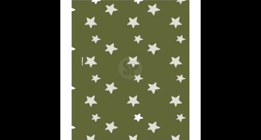 Polyester fleece deken/dekentje/plaid 130 x 170 cm marine groen met sterren