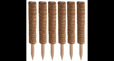 Pro garden plantenstok kokos - 6x - eucalyptushout - D4,5 x H40 cm - plantensteun