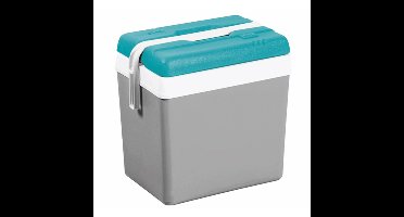 Promotion koelbox - 24 liter - kunststof - grijs - 41 x 27 x 40