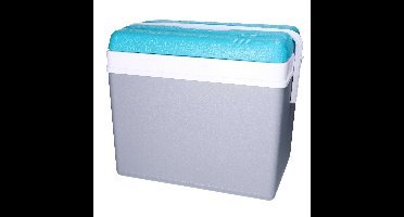Promotion koelbox - 35 liter - kunststof - grijs/blauw - 48 x 30 x 40 cm