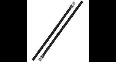 Proplus caravan/camper fietsen spanbanden/sjorbanden/bindriemen - 2x stuks - 200 cm