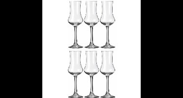 Royal Leerdam Likeur/borrelglazen - 6x stuks - transparant - 90 ml - Specials serie