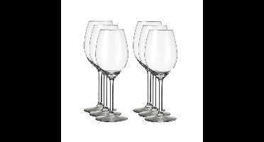 Royal Leerdam Wijnglazen Esprit - 18x stuks - witte/rode wijn - 250 ml