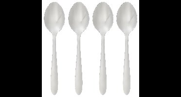 Secret de Gourmet Soeplepels/eetlepels Nevis - 12x stuks - RVS - 19 cm
