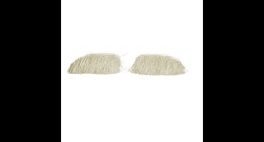 Sinterklaas verkleed wenkbrauwen - 1x - buffelhaar - wit - luxe Sint kostuum accessoires