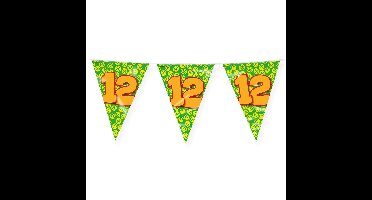 Verjaardag 12 jaar thema Vlaggetjes - Feestversiering - 10m - Folie - Dubbelzijdig