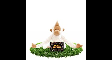 Verjaardag knuffel aapje 23 cm met gratis verjaardagskaart