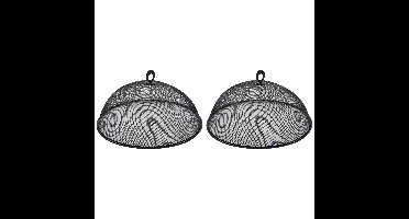 Vliegenkap/voedselkap tegen insecten - 2x - RVS - Zwart- Dia 35 cm - Buiten/binnen