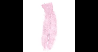 Widmann Sierveren - 100x - lichtroze - 17 cm - knutselveertjes - DIY/decoratie/hobbymateriaal