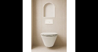 Wiesbaden Demis Inbouwnis - Ovaal - 30x45x10cm - Mat Wit
