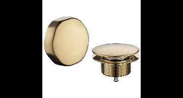 Wiesbaden Doblar Badafvoer met Overloop - Geborsteld Messing