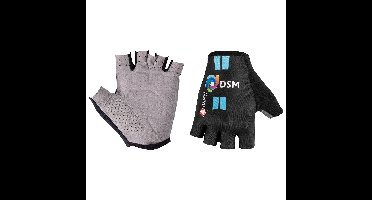 TEAM DSM Handschoenen 2022