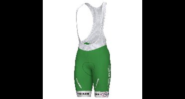 GREEN PROJECT-BARDIANI CSF-FAIZANÈ Korte koersbroek 2023