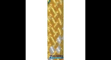 POL2249812912 - POLY-GEVLOCHTEN-32 KLEUR 12MM. GEEL (165