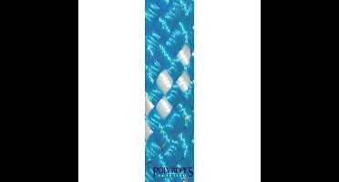 POL2269812912 - POLY-GEVLOCHTEN-32 KLEUR 12MM. BLAUW (165 M)