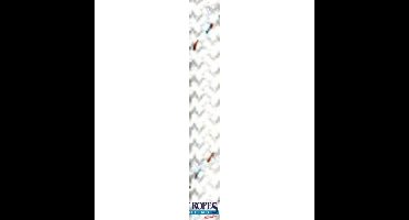 POL2209833106 - POLY-GEVLOCHTEN-24 6MM. WIT (185 M)