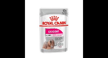 Royal Canin Exigent natvoer hond (paté) 1 doos (12 x 85 g)