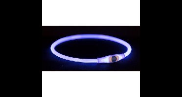 Flash lichthalsband 65 cm blauw voor de hond 2 stuks