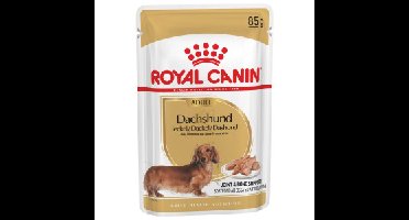 Royal Canin Adult Dachshund (Teckel) natvoer hond (paté) 2 dozen (24 x 85 g)