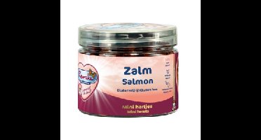 Renske Gezonde Beloning zalm kattensnack 100 g