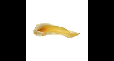 Zoolekker - Geitenoren hondensnack 100 g