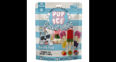 Pup Ice Rocket Lollies M variatiepak hondenijsjes Per verpakking (5 stuks)