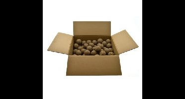 Mezenbol - vetbol zonder netje voor vogels (100 stuks) 100 stuks