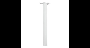 Burg-Wächter statief voor brievenbus Dual/Europa staal - wit