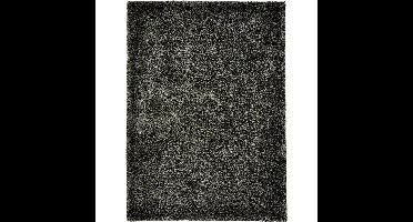 Vloerkleed Aria Grijs 160x230