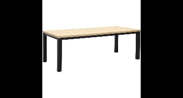 Eettafel Everest 240x100cm