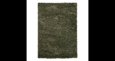 Vloerkleed Fann groen 200x300cm