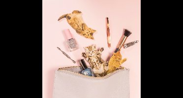 Kat Nagelvijl (Assorti)