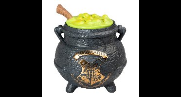Harry Potter Cookie Jar The Leaky Cauldron